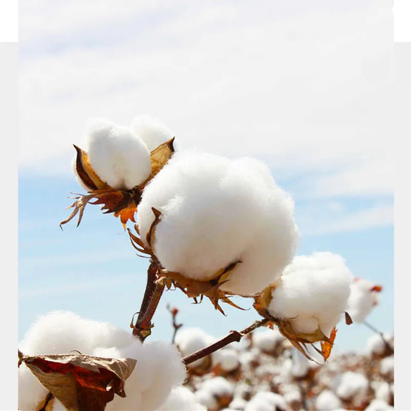 100% Egyptian Cotton Bath Towel Absorbent Adult Bath Towel Solid Color Soft Affinity Face Towel Thickened Cotton Towel